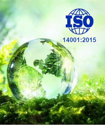 ISO 14001:2015 环境管理体系 预审