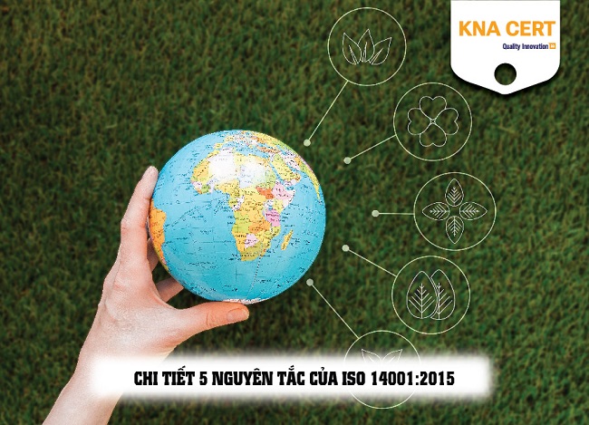 5 nguyên tắc cua ISO 14001:2015