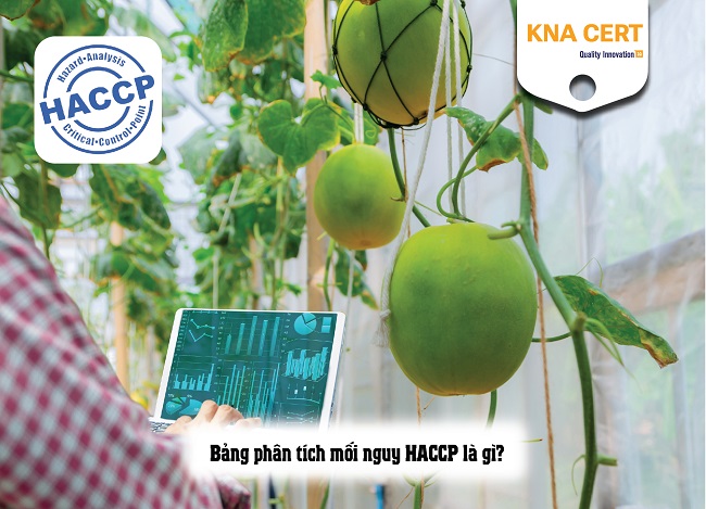 bảng phân tích mối nguy haccp