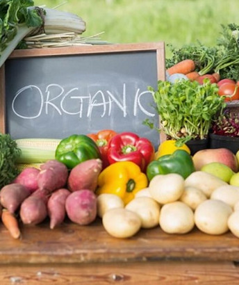 Organic Standard Certifications