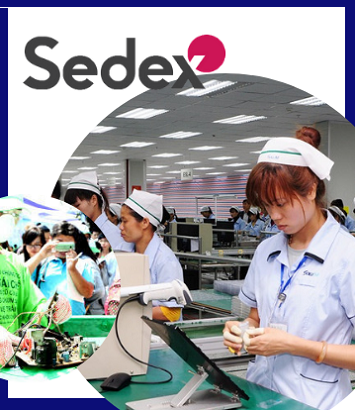 What is Sedex? Sedex Pre-audit – SMETA