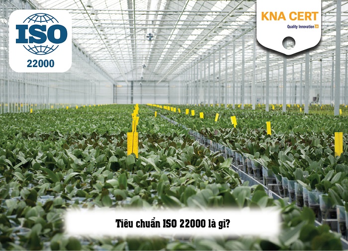 Các phiên bản của ISO 22000