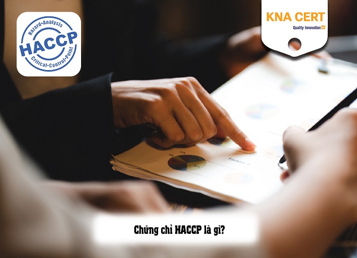 chứng chỉ haccp là gì 