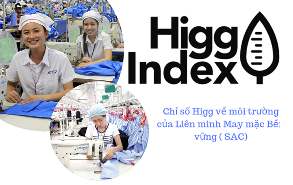 chứng chỉ higg index