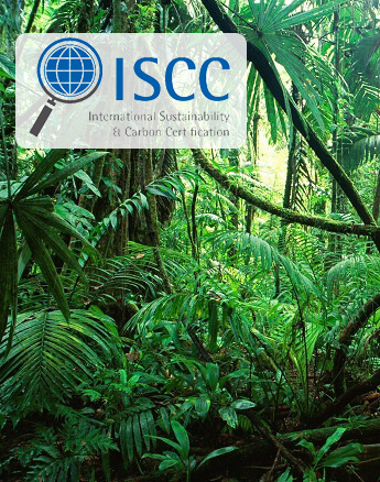 Chứng nhận ISCC về Năng lượng sinh học và sinh khối