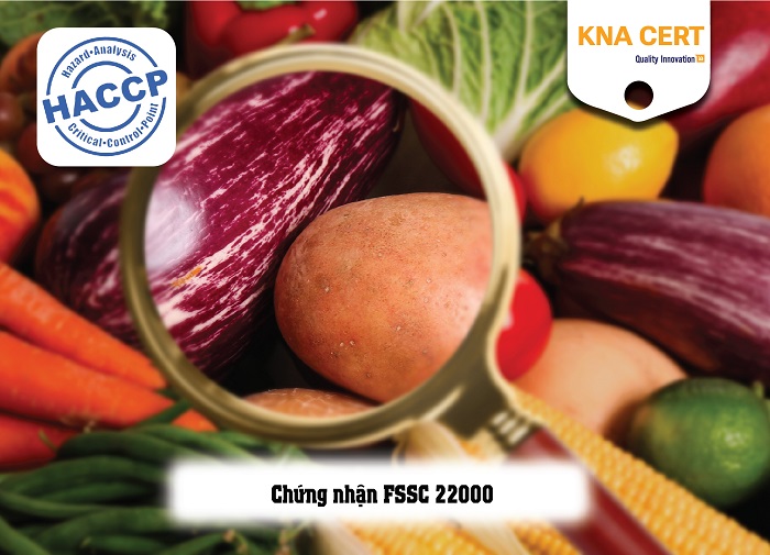 chứng nhận nào có thể thay thế haccp