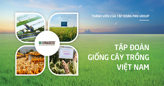 Công ty Cổ phần Tập đoàn Giống Cây trồng Việt Nam