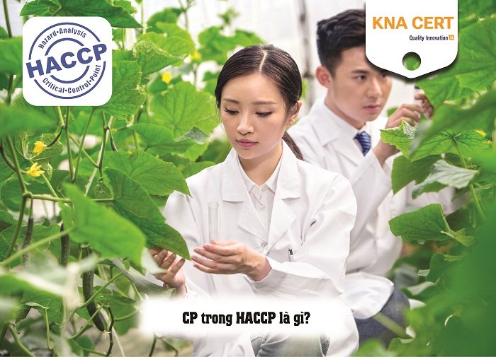 CP trong HACCP là gì? 