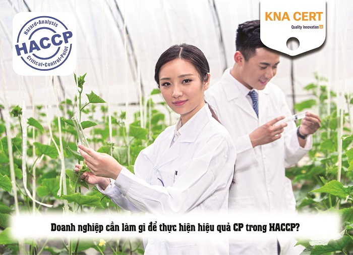 cp trong haccp là gì 