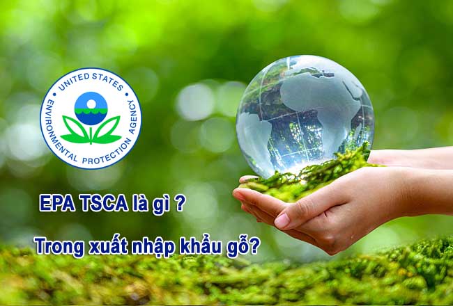 EPA TSCA là gì trong xuất nhập khẩu gỗ