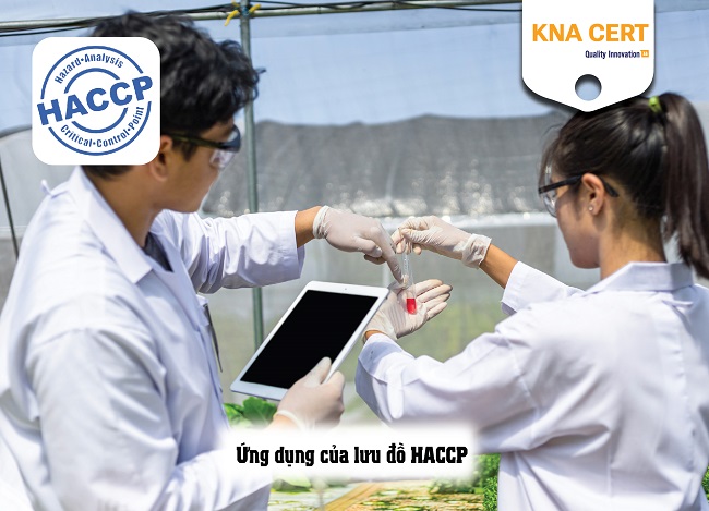 giải thích về lưu đồ haccp