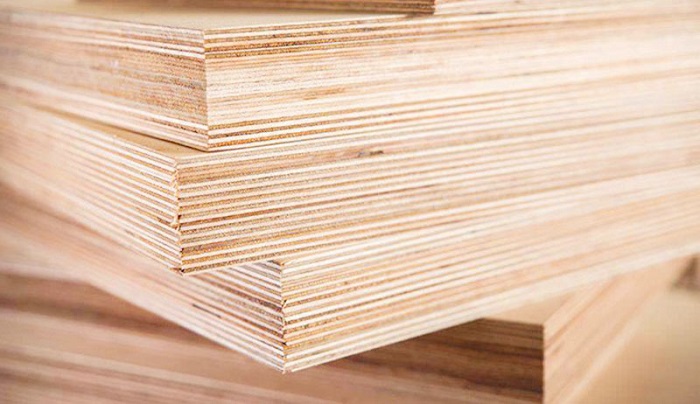 chứng nhận hợp chuẩn gỗ ván dán 