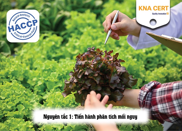 hệ thống quản lý chất lượng HACCP 