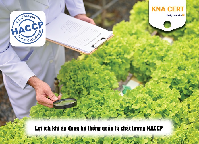 hệ thống quản lý chất lượng HACCP 