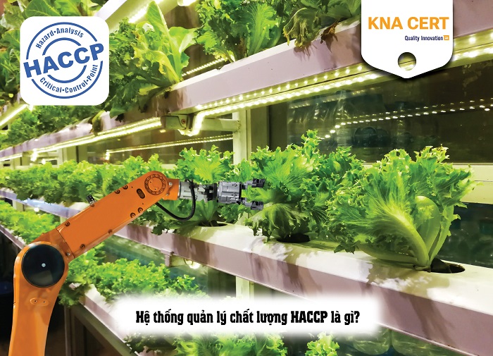 hệ thống quản lý chất lượng HACCP 