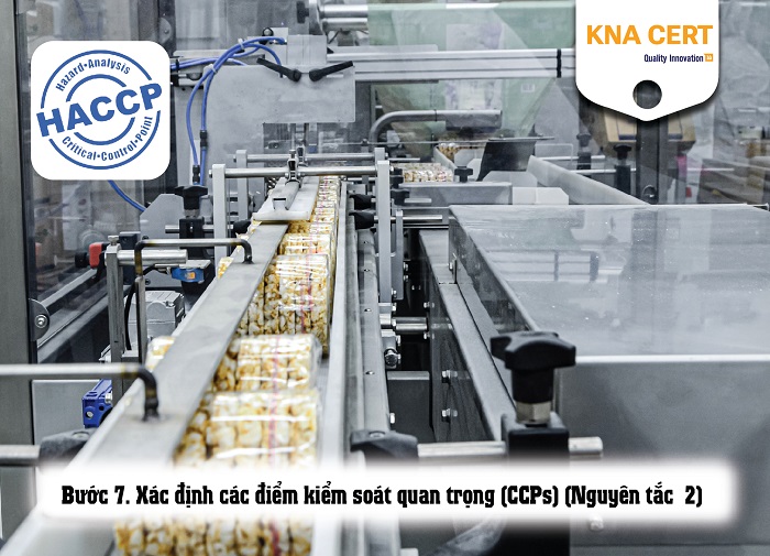 hướng dẫn chi tiết xây dựng haccp