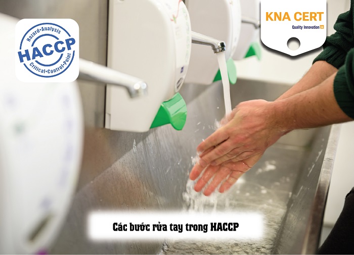 hướng dẫn thực hiện các bước rửa tay trong haccp