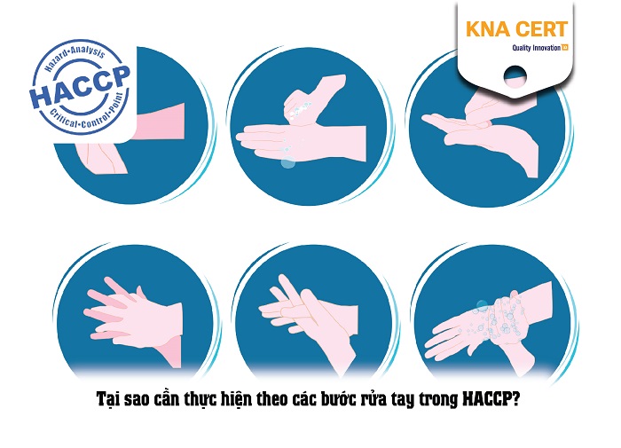 hướng dẫn thực hiện các bước rửa tay trong haccp