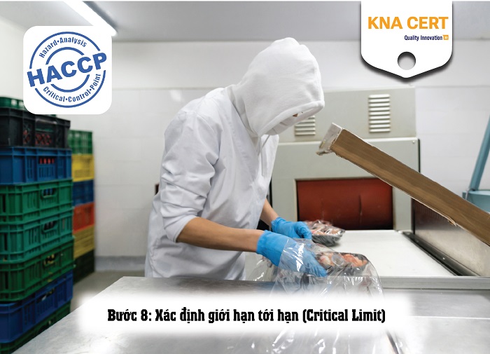 Hướng dẫn xây dựng hệ thống HACCP thủy sản chi tiết