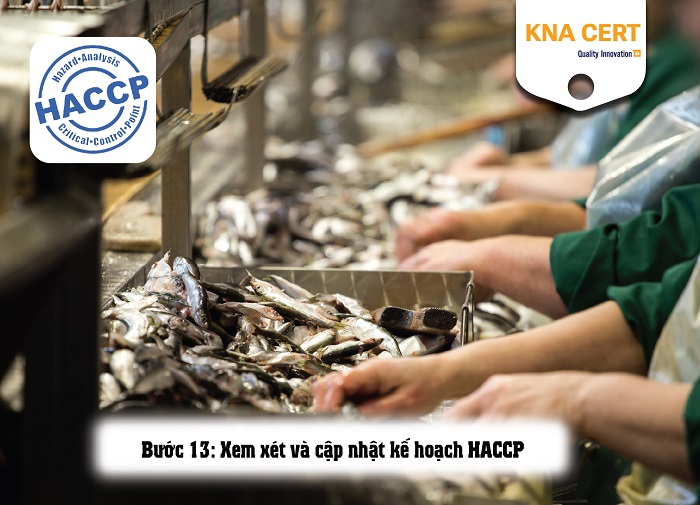 Hướng dẫn xây dựng hệ thống HACCP thủy sản chi tiết