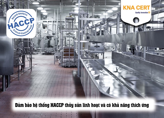 Hướng dẫn xây dựng hệ thống HACCP thủy sản chi tiết