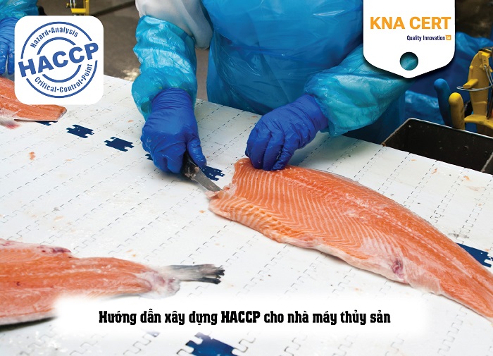 Hướng dẫn xây dựng hệ thống HACCP thủy sản chi tiết