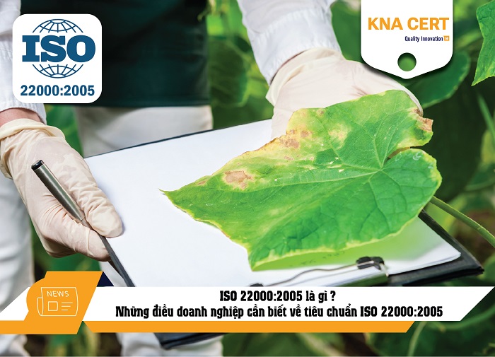 ISO 22000:2005 là gì ? Những điều doanh nghiệp cần biết về tiêu chuẩn ISO 22000:2005