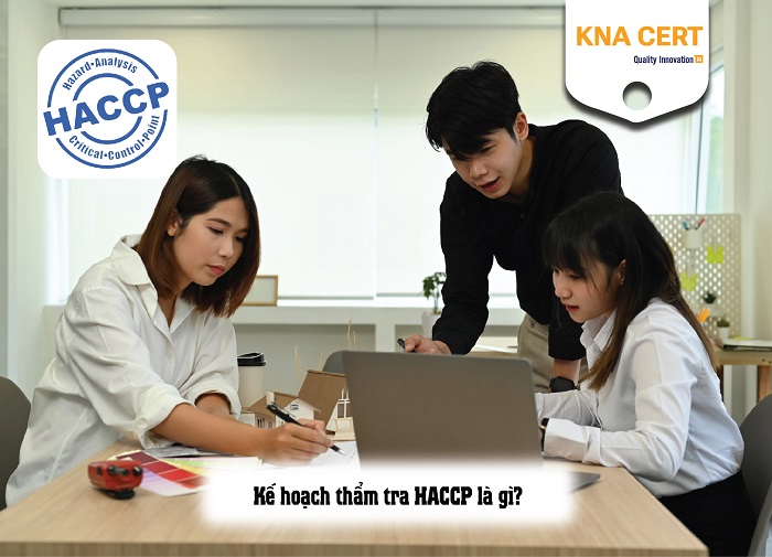 kế hoạch thẩm tra haccp