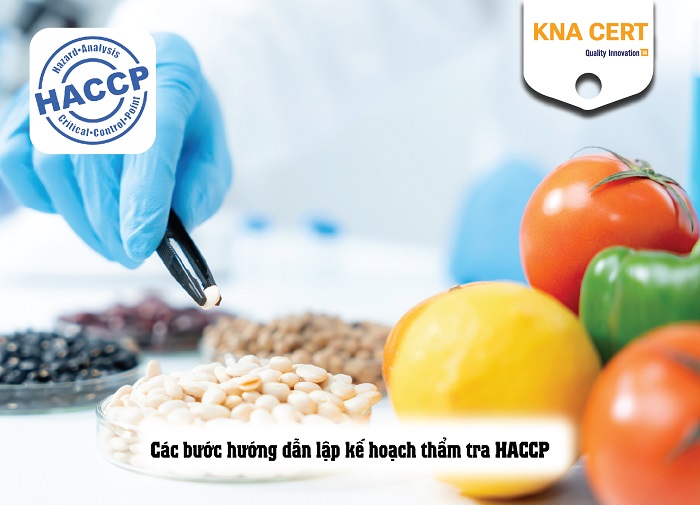 kế hoạch thẩm tra haccp