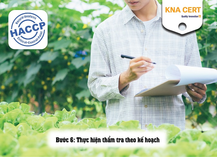 kế hoạch thẩm tra haccp