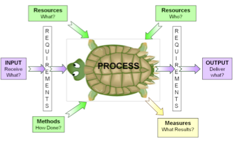 Tiếp cận quá trình theo mô hình con rùa là gì - KNA Cert