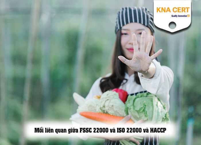 Mối liên quan giữa FSSC 22000 và ISO 22000 và HACCP