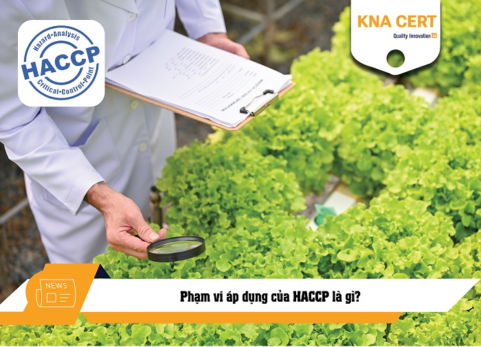 Phạm vi áp dụng của HACCP là gì?