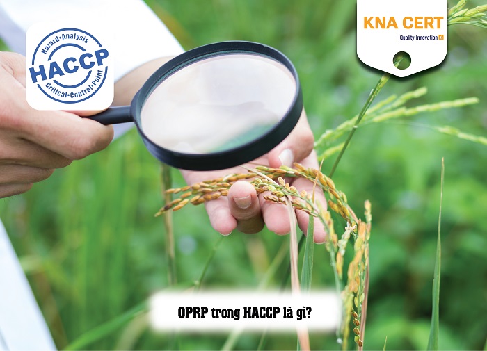 oprp trong haccp