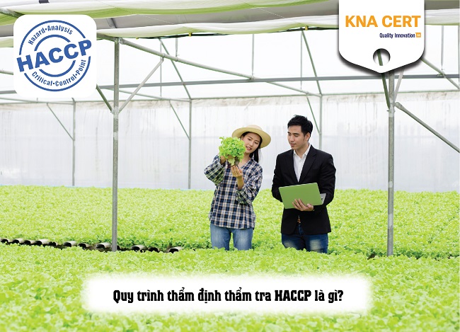 quy trình thẩm định thẩm tra haccp