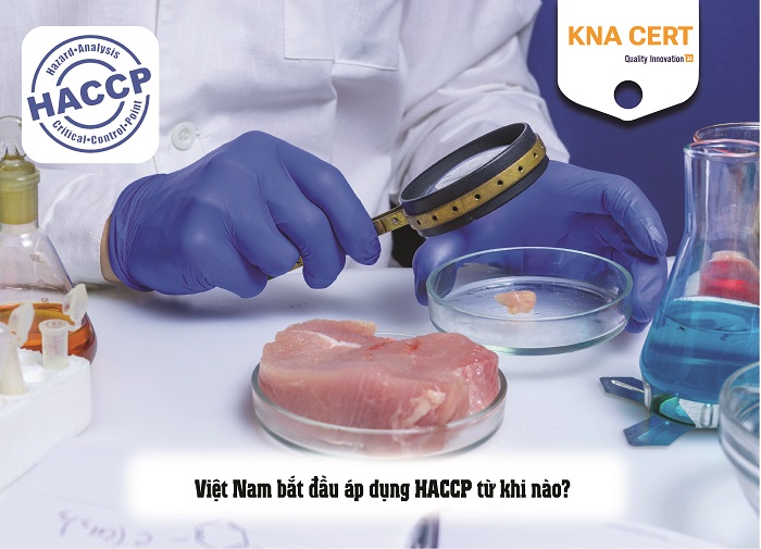 thực trạng áp dụng haccp