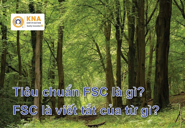tiêu chuẩn rừng fsc là gì ?
