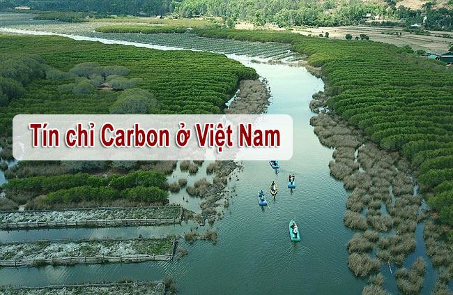 Tín chỉ Carbon ở Việt Nam
