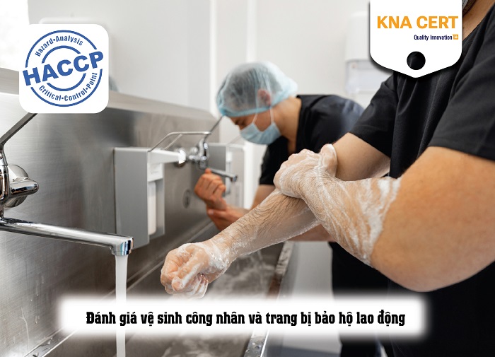 báo cáo đánh giá haccp