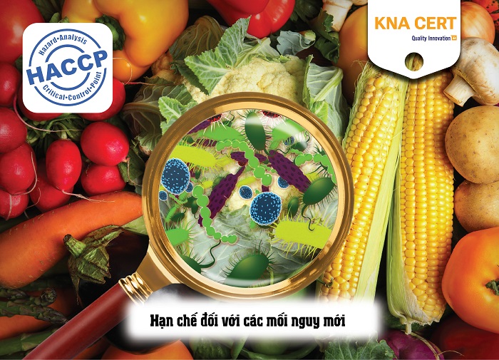 ưu nhược điểm của haccp