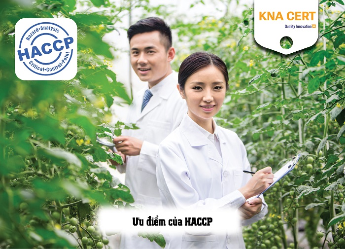 ưu nhược điểm của haccp