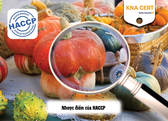 ưu nhược điểm của haccp