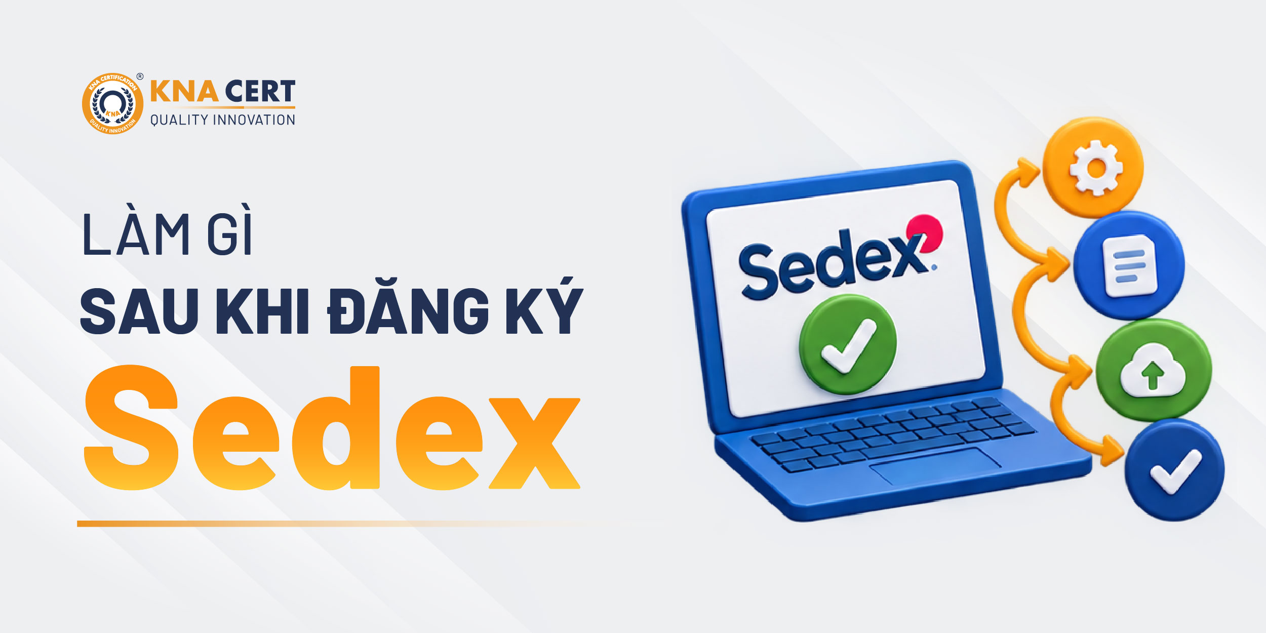 Sau Khi Có Tài Khoản Sedex, Doanh Nghiệp Cần Làm Gì Tiếp Theo?