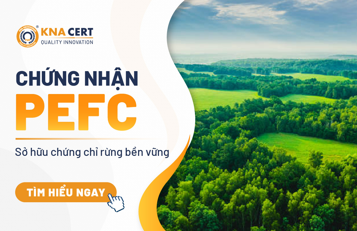 hứng nhận PEFC: Sở hữu chứng chỉ rừng bền vững