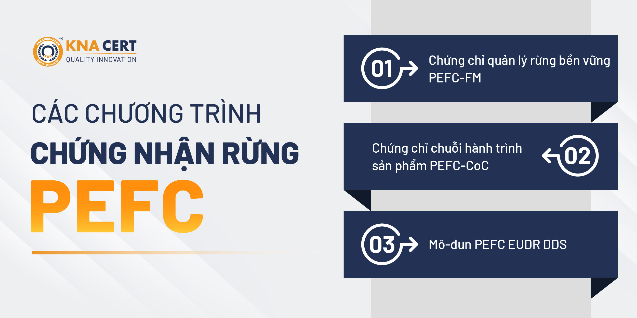 Có những chương trình cấp chứng chỉ rừng PEFC nào?