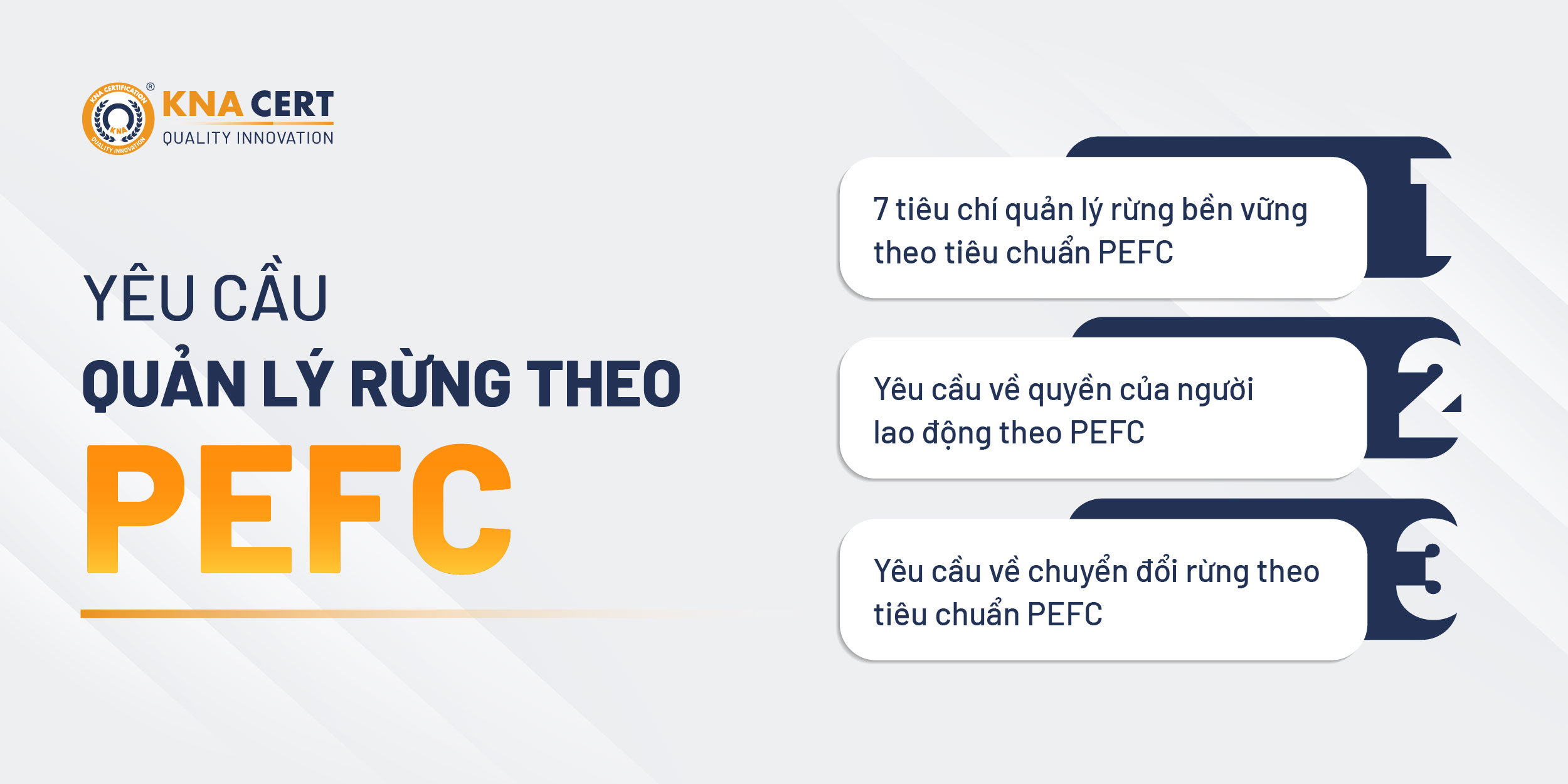 Tiêu chuẩn PEFC quy định những yêu cầu gì về quản lý rừng?