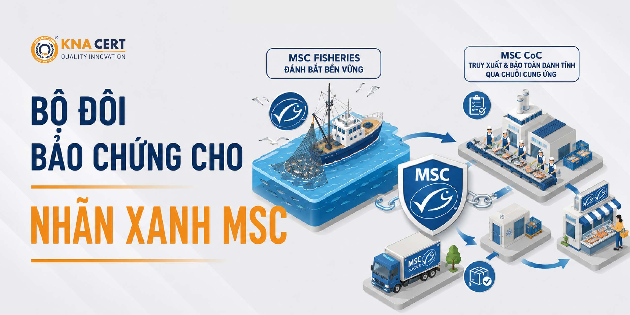 MSC CoC và MSC Fisheries
