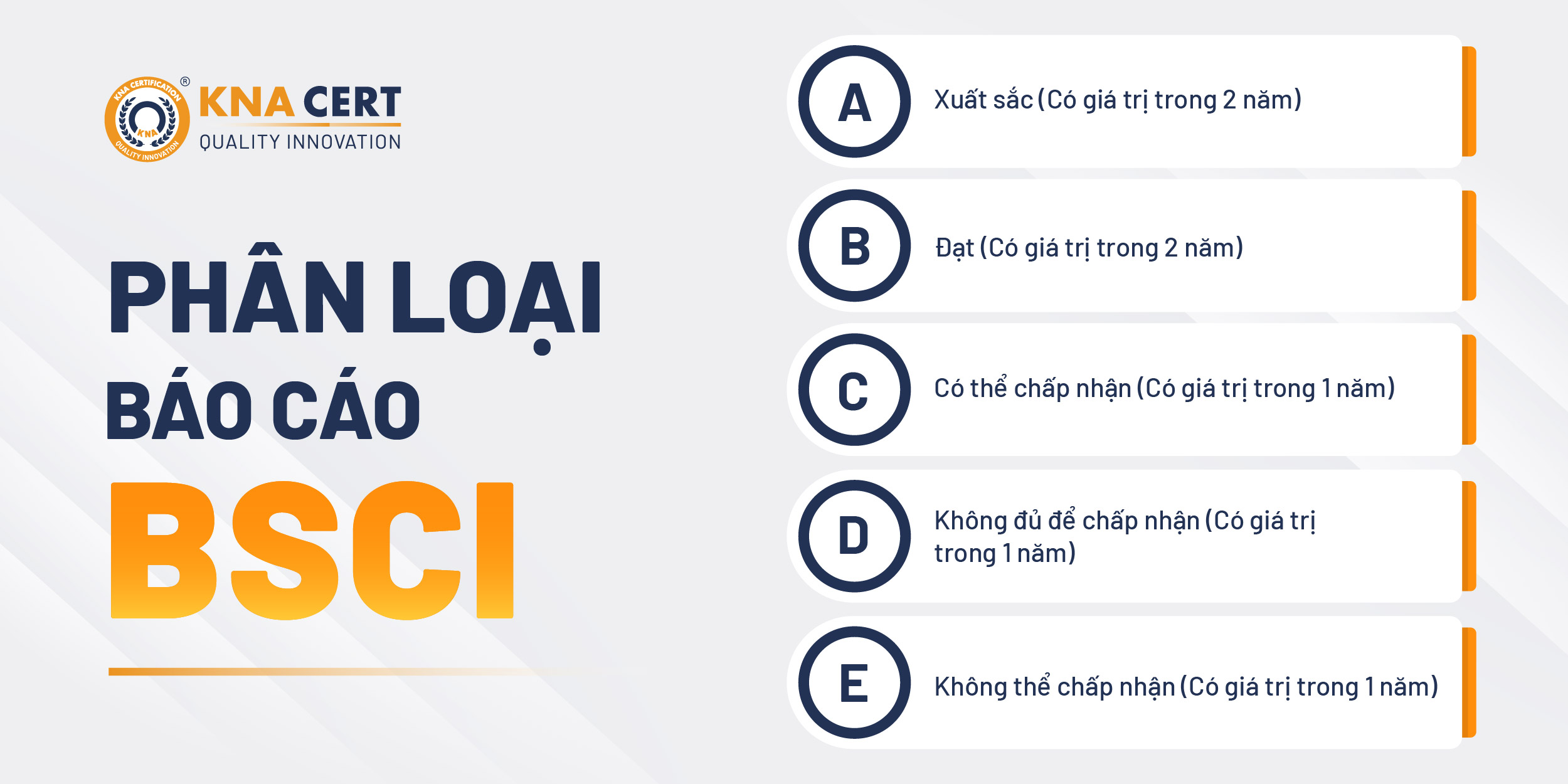 CÓ BAO NHIÊU LOẠI BÁO CÁO BSCI?