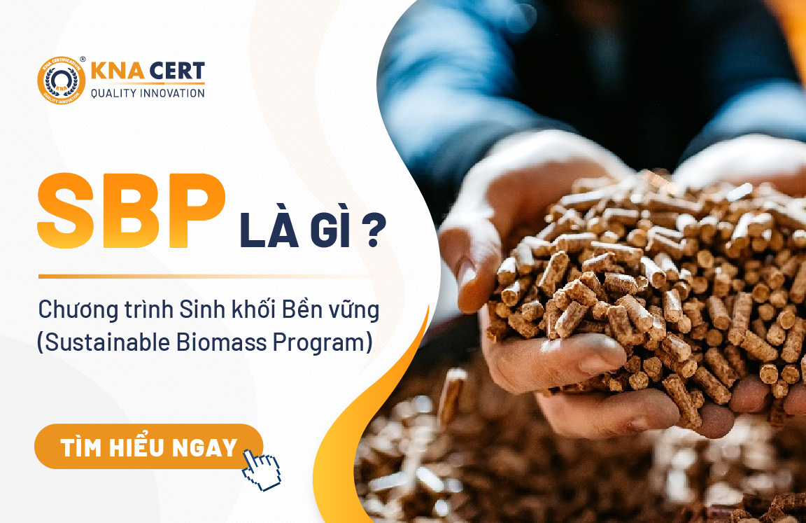 SBP là gì? Chương trình Sinh khối Bền vững (Sustainable Biomass Program)