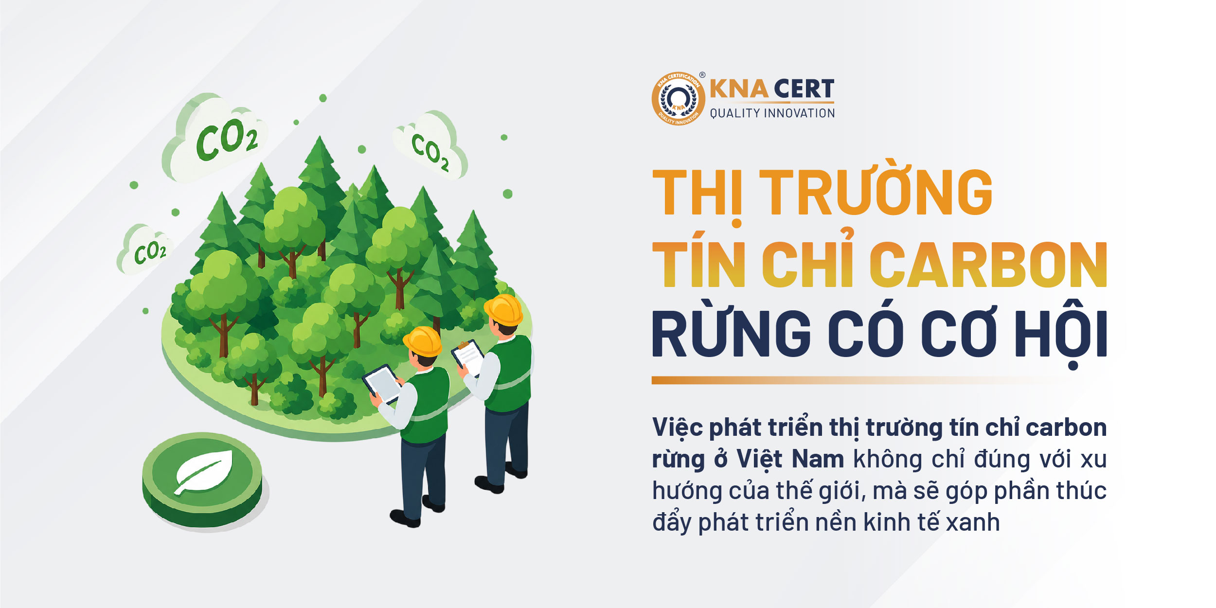 THỊ TRƯỜNG TÍN CHỈ CARBON RỪNG CÓ NHIỀU CƠ HỘI